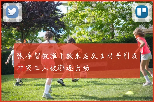 张淳智被推飞数米后反击对手引发冲突三人被驱逐出场